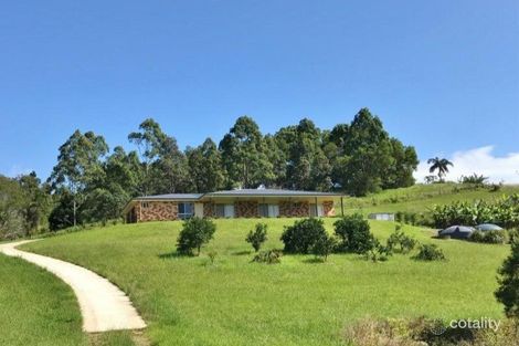 23 Scarborough Lane, Newee Creek, NSW 2447