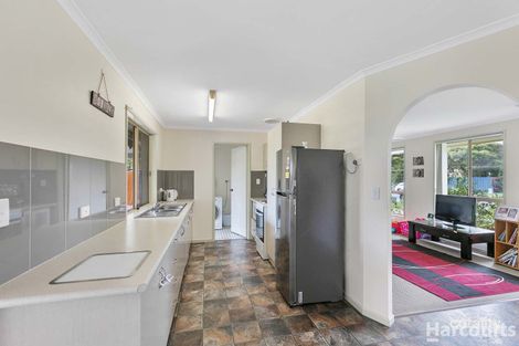 Property photo of 31 Michelle Drive Point Vernon QLD 4655