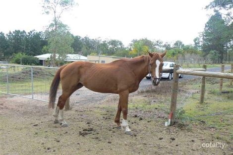 Property photo of 2271 Waterford Tamborine Road Tamborine QLD 4270