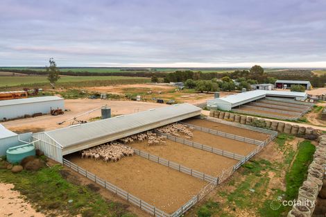 35/41 Maggea Rd, Waikerie, SA 5330