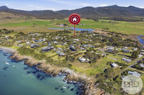 18 Stieglitz St, Falmouth, TAS 7215