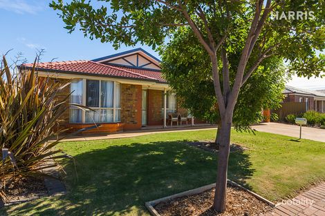 Property photo of 20 Everest Avenue Andrews Farm SA 5114