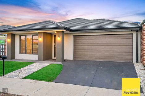 Property photo of 29 Manning Circuit Tarneit VIC 3029