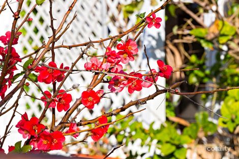 Property photo of 12 O'Connell Street Monterey NSW 2217