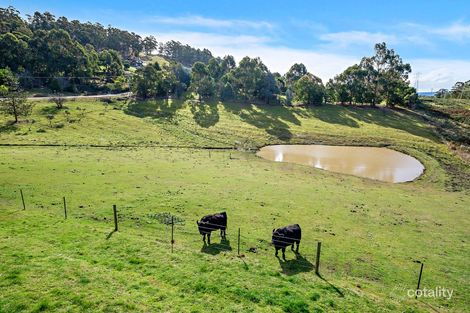 Property photo of 4 Culbara Road Electrona TAS 7054