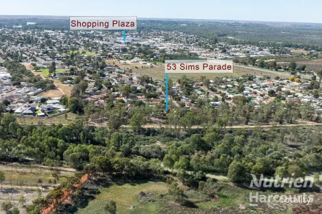 Property photo of 53 Sims Parade Renmark SA 5341
