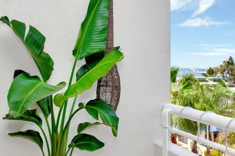 Property photo of 26/14 Jefferson Lane Palm Beach QLD 4221