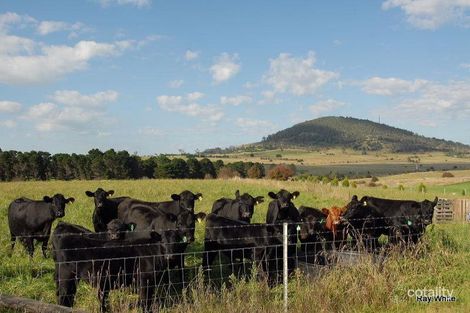 Property photo of 25 Hoggs Lane Braidwood NSW 2622