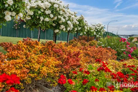 Property photo of 942 Oceana Drive Tranmere TAS 7018