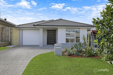 41 Attenborough Cct, North Lakes, QLD 4509