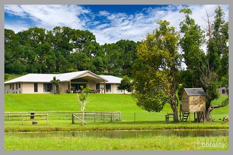 Property photo of 19 Finley Road Eumundi QLD 4562