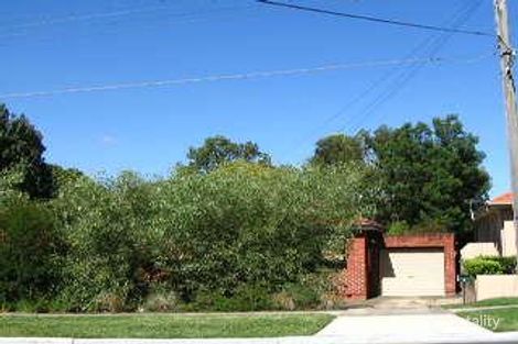 Property photo of 9 Tallwood Avenue Eastwood NSW 2122