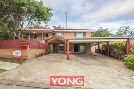 Property photo of 54 Portulaca Street Macgregor QLD 4109