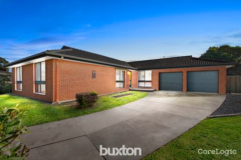 Property photo of 6 Charolais Court Belmont VIC 3216