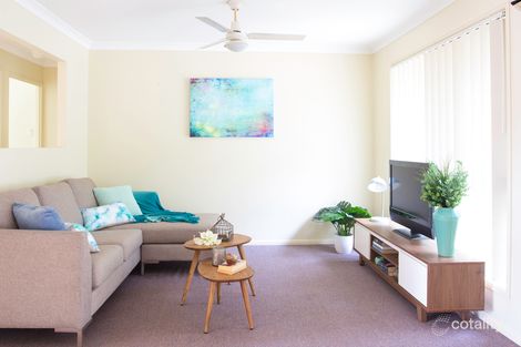 Property photo of 100 Mitchell Street Acacia Ridge QLD 4110