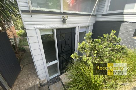 Property photo of 23 Karloo Street Shortland NSW 2307