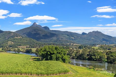 Property photo of 6 Elouera Terrace Bray Park NSW 2484