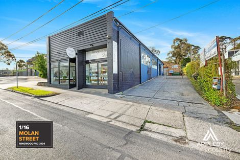 1/16 Molan St, Ringwood, VIC 3134
