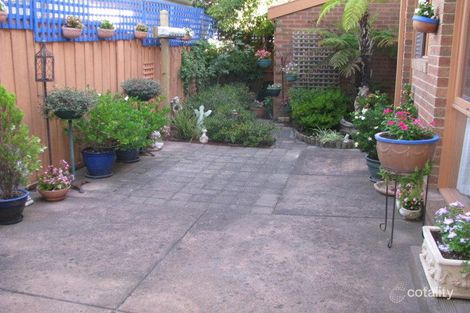 Property photo of 5/969-971 Canterbury Road Box Hill VIC 3128