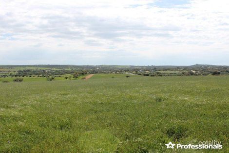 47 West St, Northampton, WA 6535