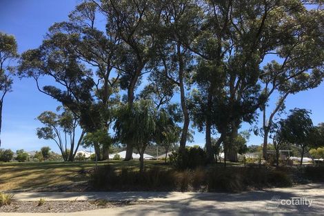 Property photo of 46 Coolimba Turn Baldivis WA 6171