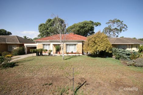 Property photo of 25 Rutland Avenue Lockleys SA 5032