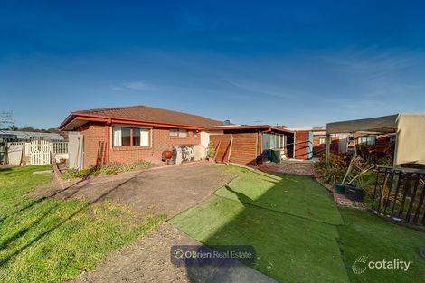 Property photo of 3 Anna Court Narre Warren VIC 3805