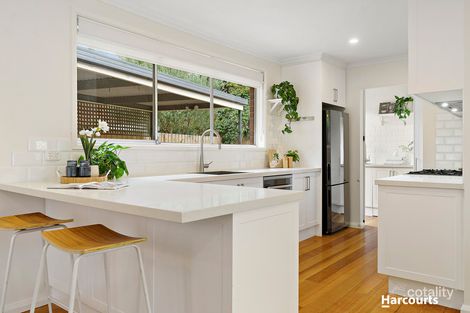 Property photo of 29 Berkley Road Ringwood VIC 3134