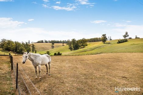 Property photo of 1205 Bloomfield Road Crossover VIC 3821