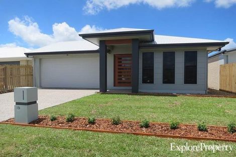 Property photo of 17 Sadlier Street Walkerston QLD 4751