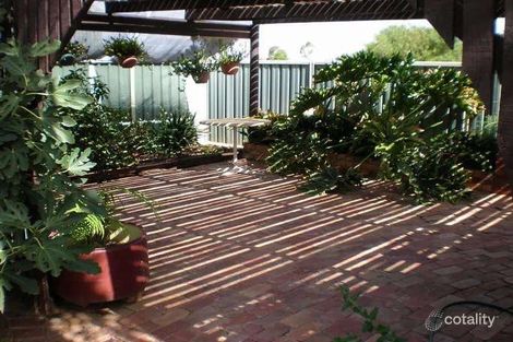 Property photo of 3 Bruton Grove Swan Hill VIC 3585