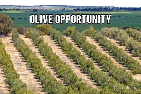 1575 Kringin Rd, Karte, SA 5304