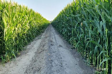 1822 Pretty Pine Rd, Morago, NSW 2710