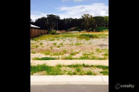 Property photo of 12 Wagtail Street Andergrove QLD 4740