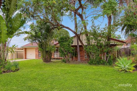 3 Solandra Cct, Regents Park, QLD 4118