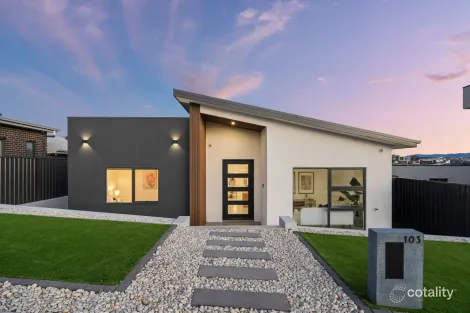 Property photo of 103 Sculthorpe Avenue Whitlam ACT 2611