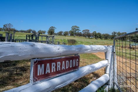 Property photo of 70 Hillside Lane Gulgong NSW 2852