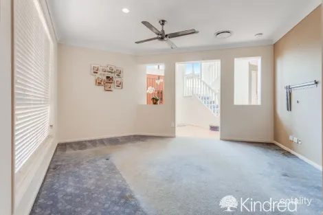 Property photo of 117 Griffith Road Newport QLD 4020