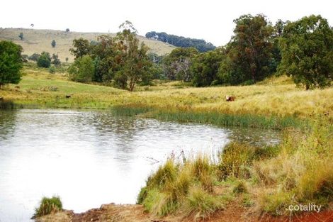 Property photo of 79 Nowendoc Road Niangala NSW 2354