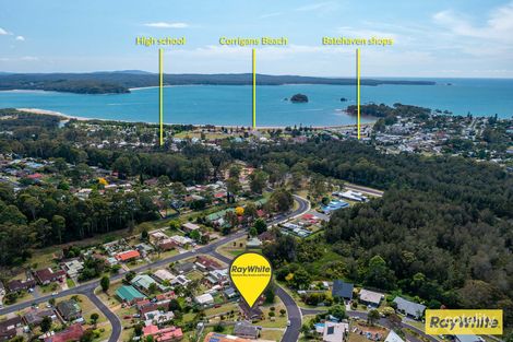 Property photo of 10 Yarrabee Drive Catalina NSW 2536