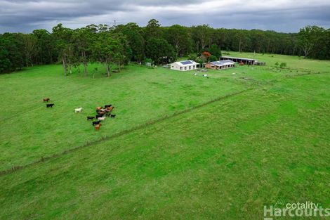 Property photo of 483 Seven Hills Road Collombatti NSW 2440
