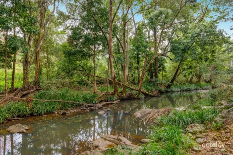 Property photo of 36 Pinetree Court Mudgeeraba QLD 4213