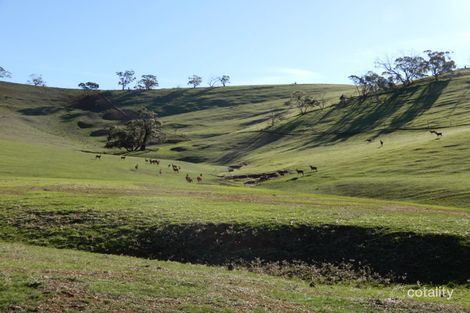 395 Campbell Range Rd, Washpool, SA 5454