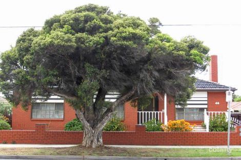 46 Cumberland Rd, Pascoe Vale, VIC 3044