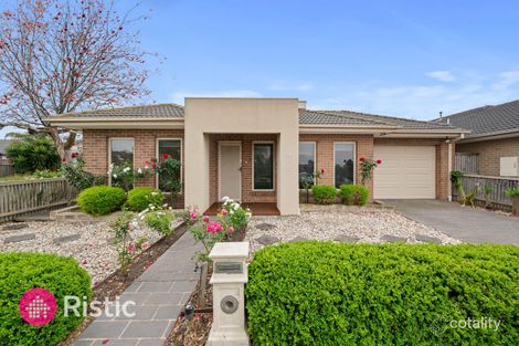Property photo of 18 Taggerty Grove Epping VIC 3076