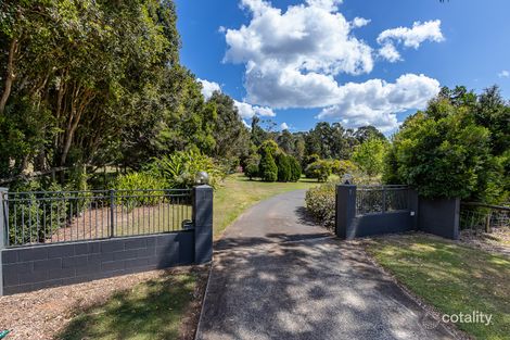 Property photo of 14 Jessie Close Thornlands QLD 4164