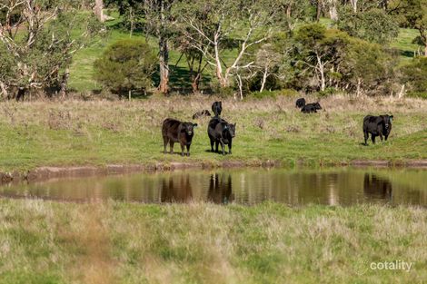 Property photo of 235 Old Moorooduc Road Tuerong VIC 3915