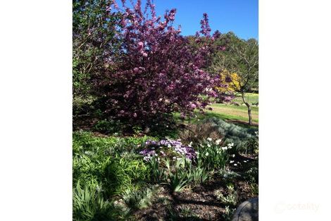 2042 Creightons Creek Rd, Creightons Creek, VIC 3666