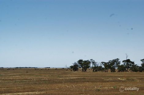 279 Dukes Hwy, Tailem Bend, SA 5260