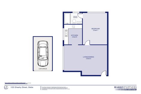 Property photo of 1/20-24 Sheehy Street Glebe NSW 2037